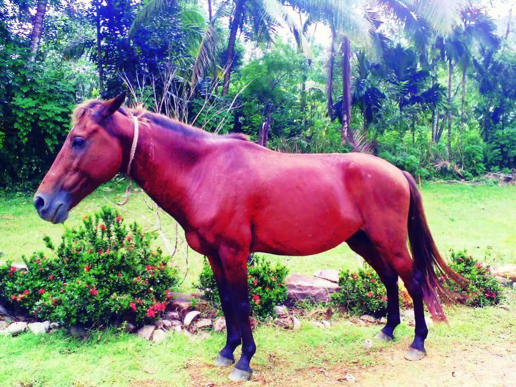 Sapphire Holiday Resort Ratnapura Eksteriør bilde