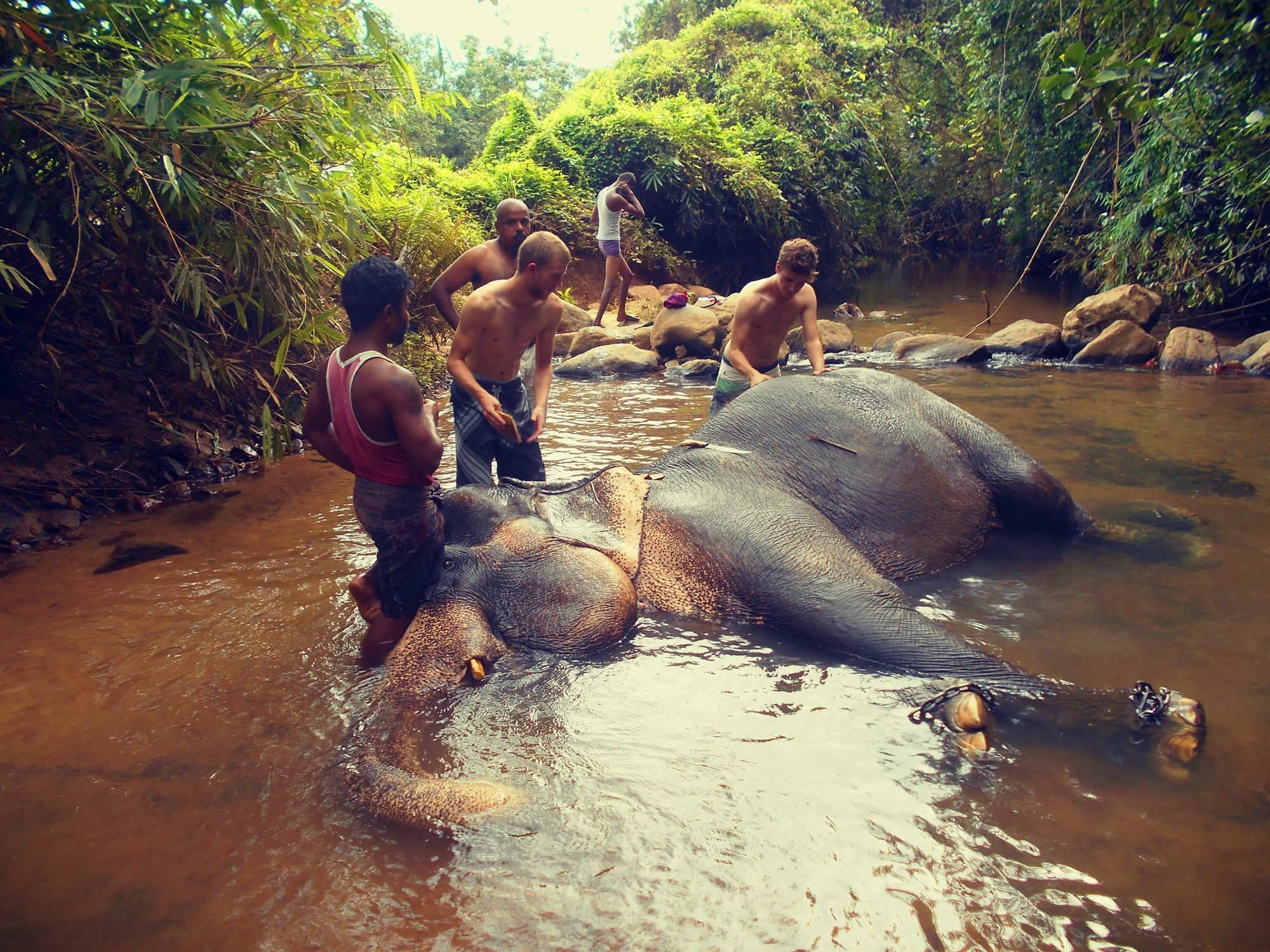 Sapphire Holiday Resort Ratnapura Eksteriør bilde